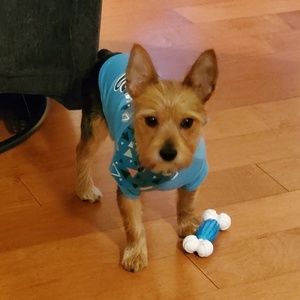 Meet your Posher, Detra